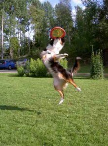 zoyafrisbee.jpg